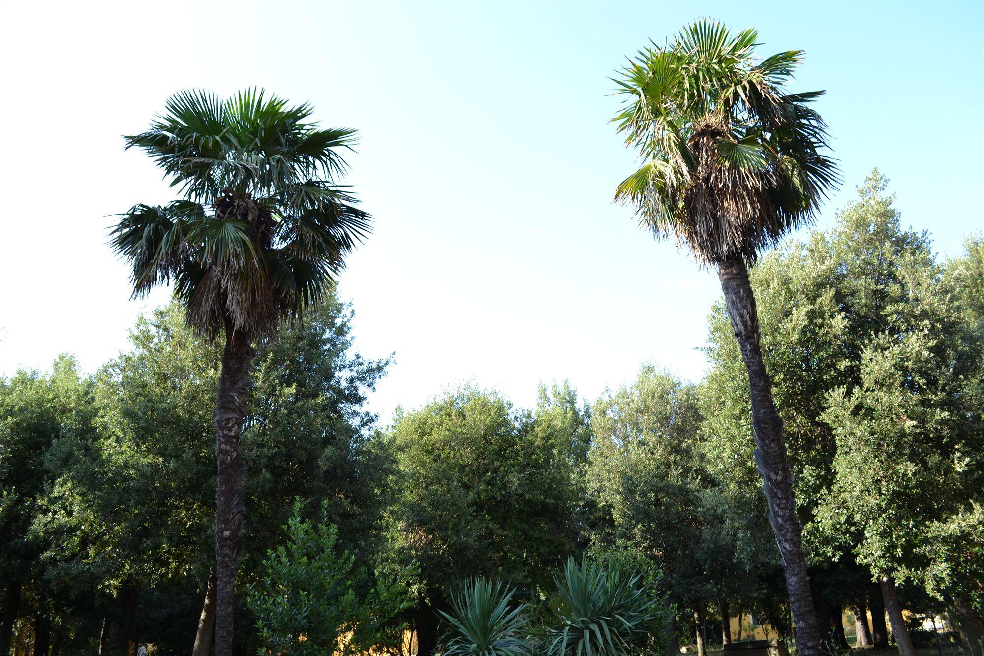 Villa Graziani Vada Exterior foto